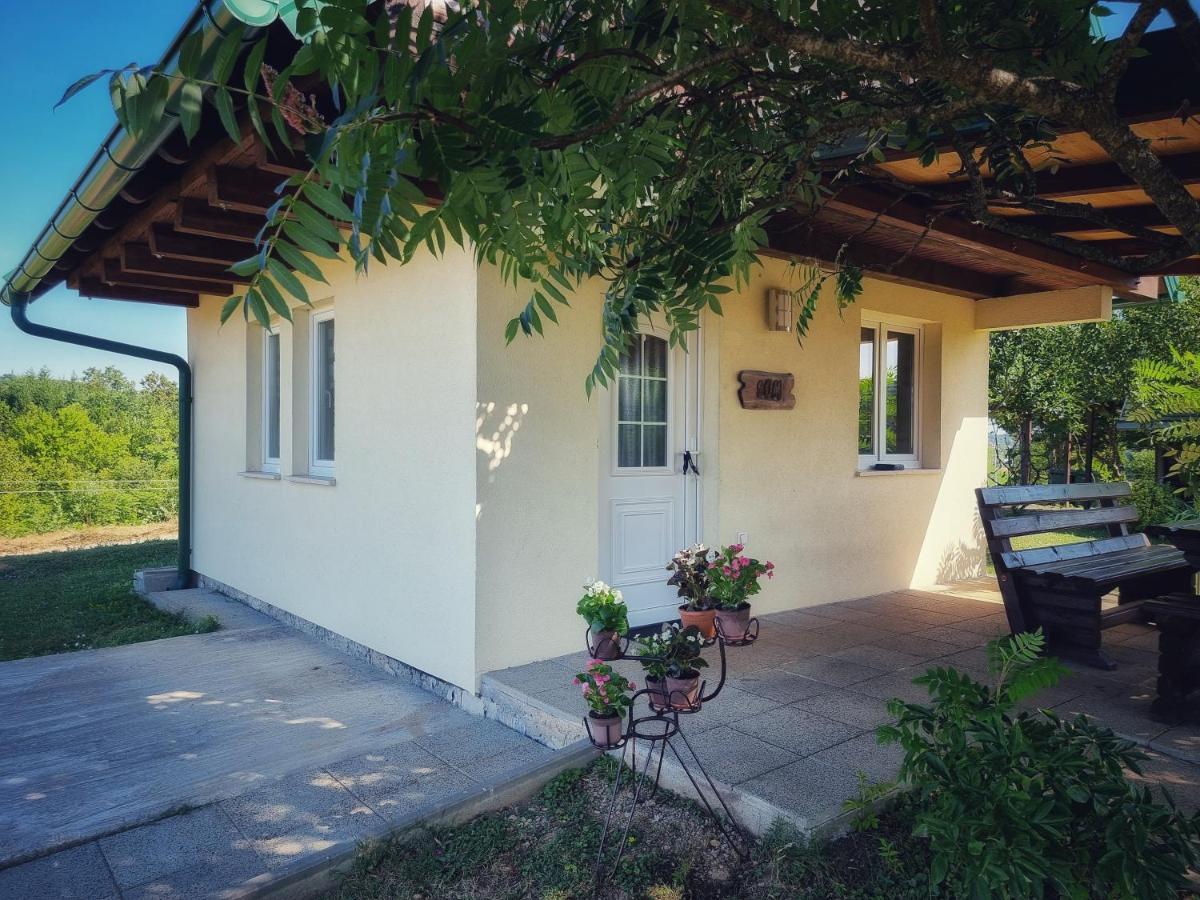 Guesthouse Mreznica- Mreznicka Idila Resort Galovic-Selo Eksteriør bilde