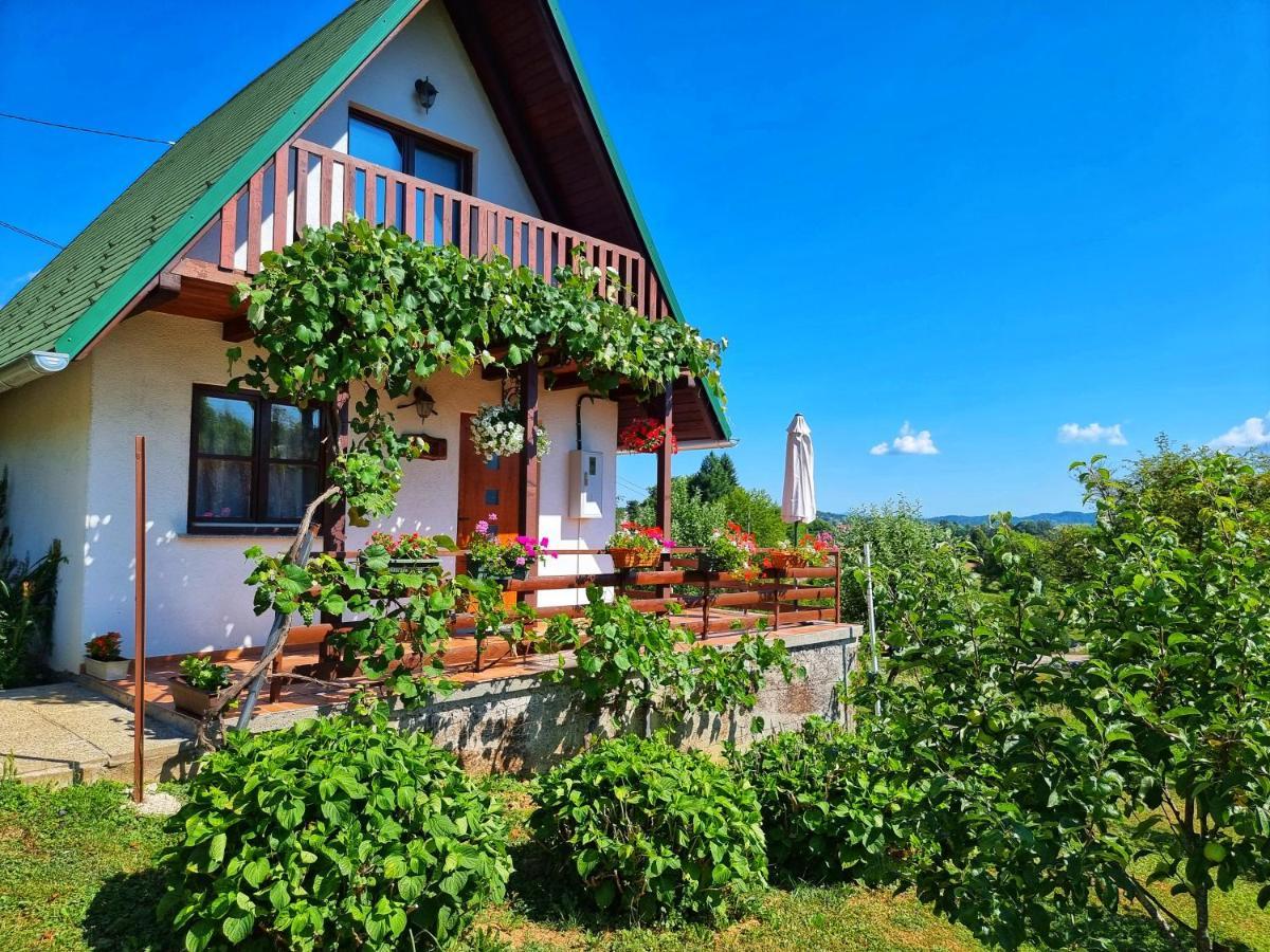 Guesthouse Mreznica- Mreznicka Idila Resort Galovic-Selo Eksteriør bilde