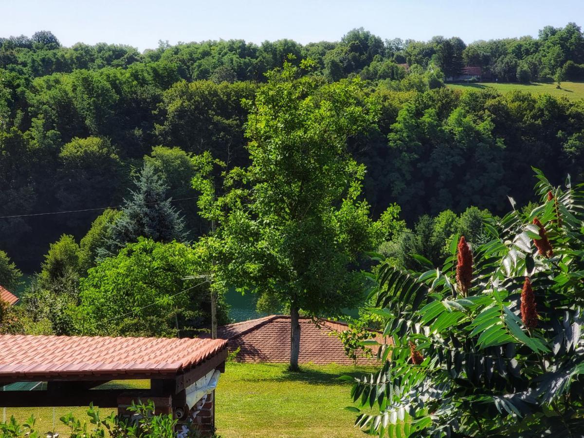 Guesthouse Mreznica- Mreznicka Idila Resort Galovic-Selo Eksteriør bilde